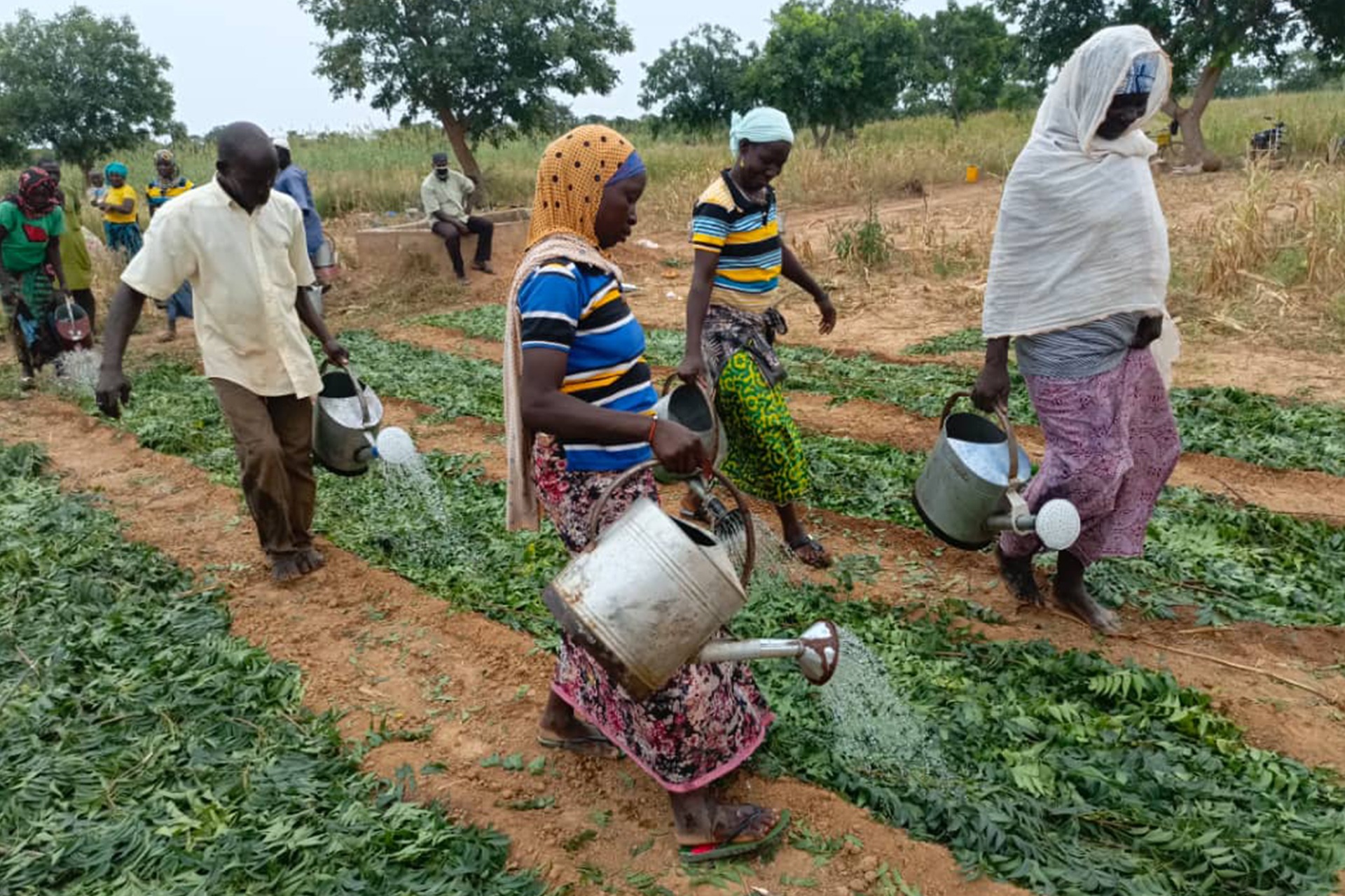 Agriculture Durable