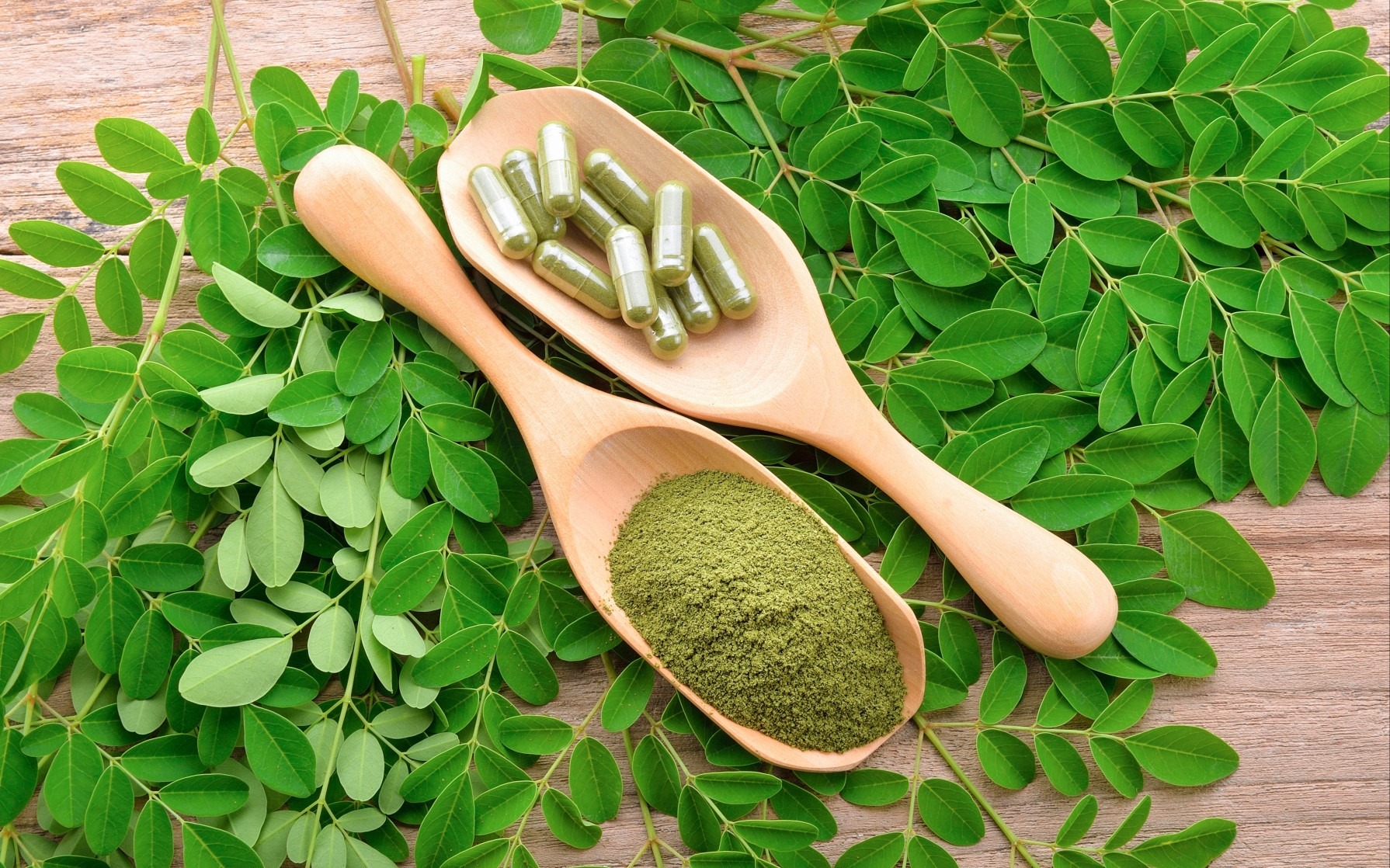 Moringa