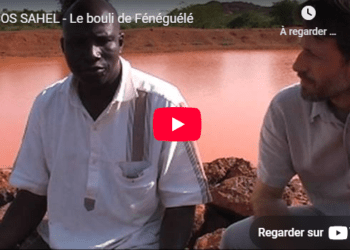 Le bouli de Fénéguélé