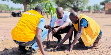 Plantation de 850 plants au niveau du bosquet de SAFANE dans la région de la Boucle du Mouhoun